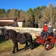 Balade en calèche