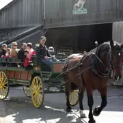 Balade en calèche à la Bergerie Nationale de Rambouillet