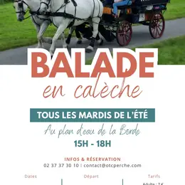 Balade en calèche à La Borde