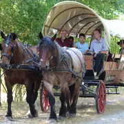 Balade en calèche à Terres d'Oiseaux