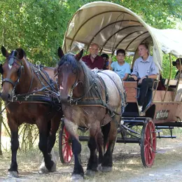 Balade en calèche à Terres d'Oiseaux