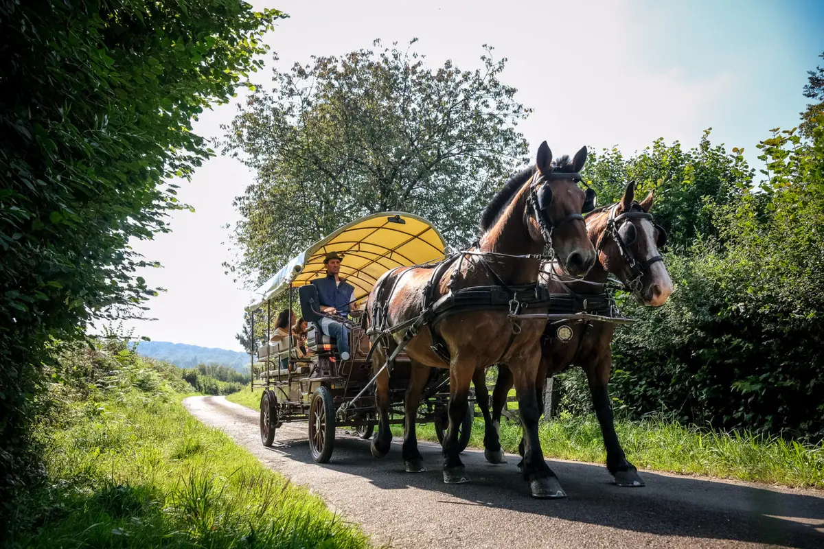 Balade en calèche au coeur du bocage