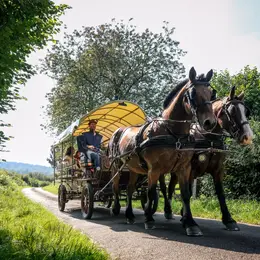 Balade en calèche au coeur du bocage