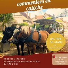 Balade en calèche commentée du Domaine de la Ferté-Vidame