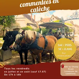 Balade en calèche commentée du Domaine de la Ferté-Vidame