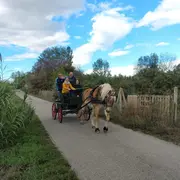 Balade En Caleche Dans Les Alberes