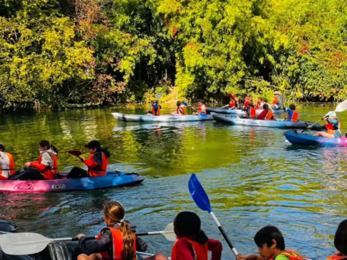 Balade en canoë à Poitiers (86)