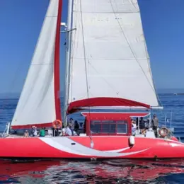 Envie de bouger à Lorient ce week-end (21-23 août 2026) ? Voici 6 idées de sorties