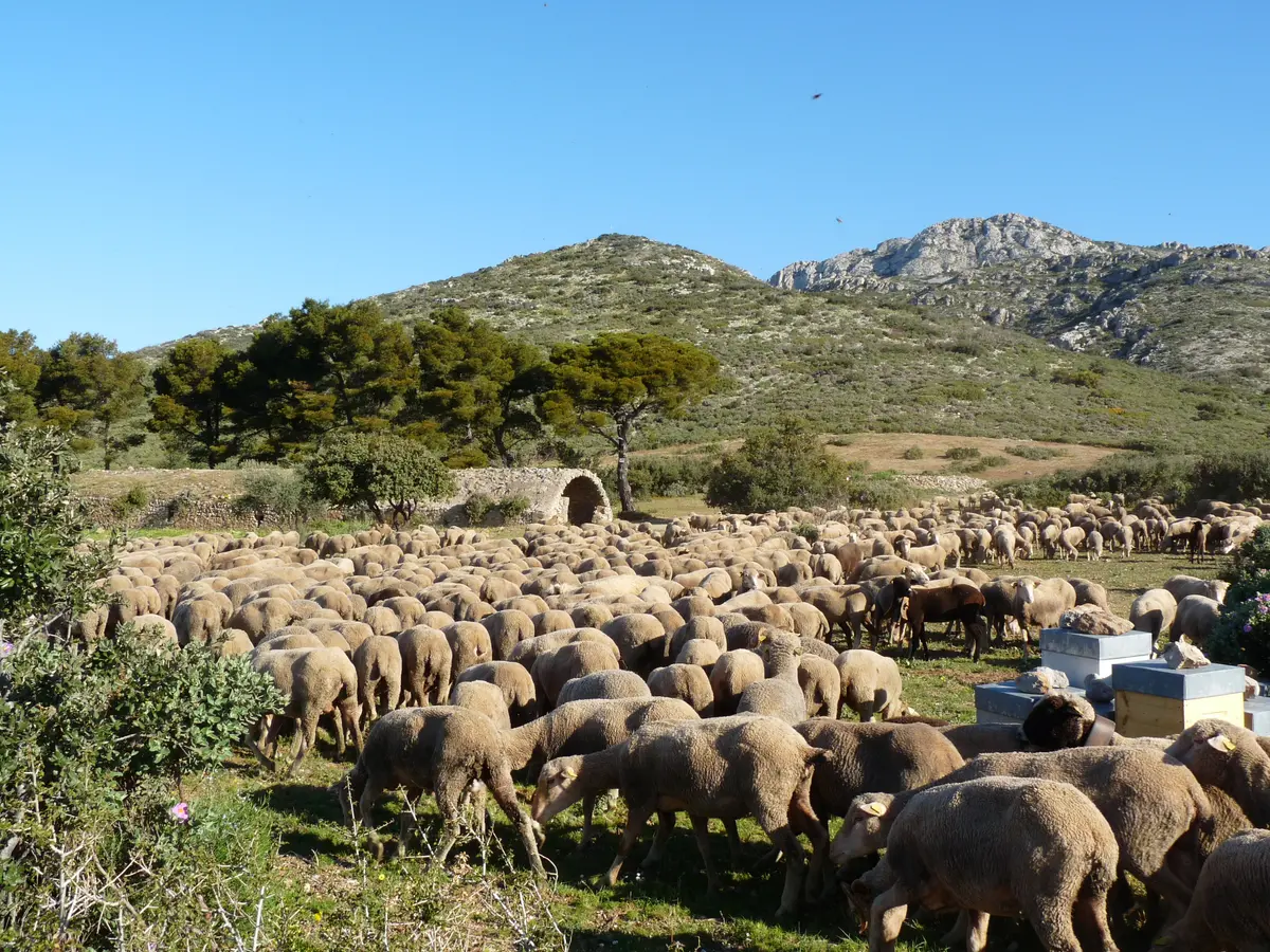 Balade en colline : Rencontre avec un éleveur