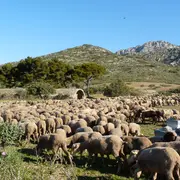 Balade en colline : Rencontre avec un éleveur