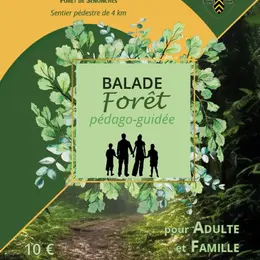 Balade en forêt pédago-guidée