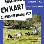 Balade En Kart Chien De Traineaux