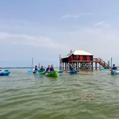 Balade en kayak aux Tchanquées du bassin d'Arcachon