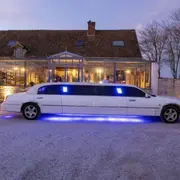 Balade en limousine à Versailles (78)