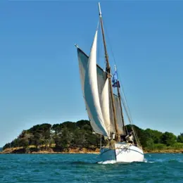 Envie de bouger à Vannes ce week-end (7-9 août 2026) ? Voici 5 idées de sorties