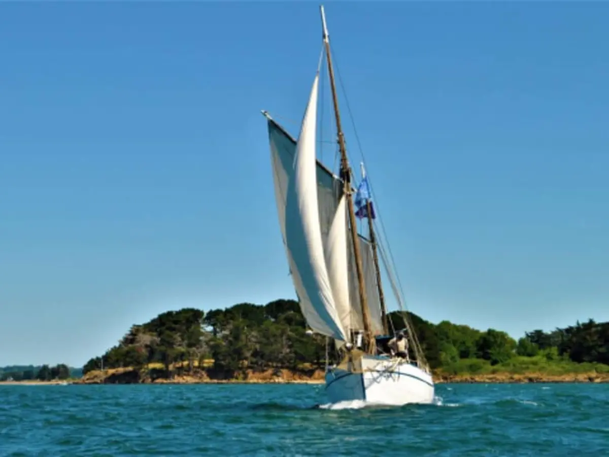 Balade en mer à la journée sur la Boréale à Vannes (56)
