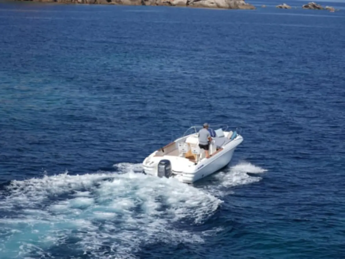 Balade en mer d'une demi-journée à Propriano (20)