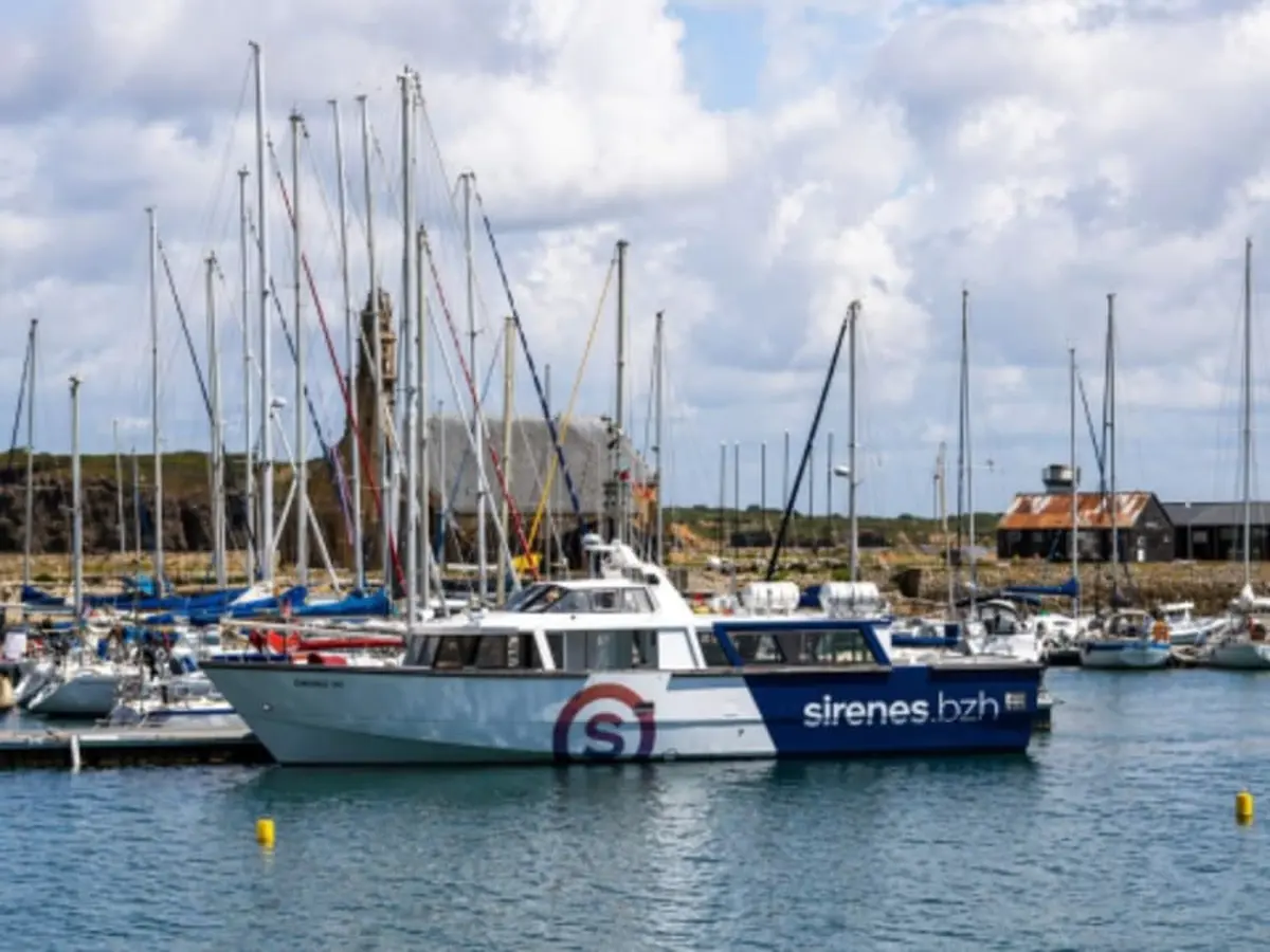 Balade en mer découverte des Tas de Pois à Camaret-sur-Mer (29)