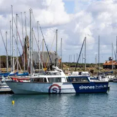 Balade en mer découverte des Tas de Pois à Camaret-sur-Mer (29)