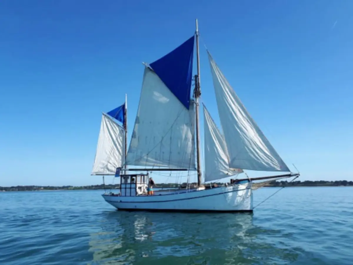 Balade en mer sur la Boréale demi journée à Vannes (56)