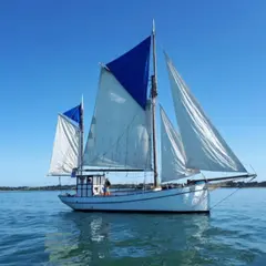 Balade en mer sur la Boréale demi journée à Vannes (56)
