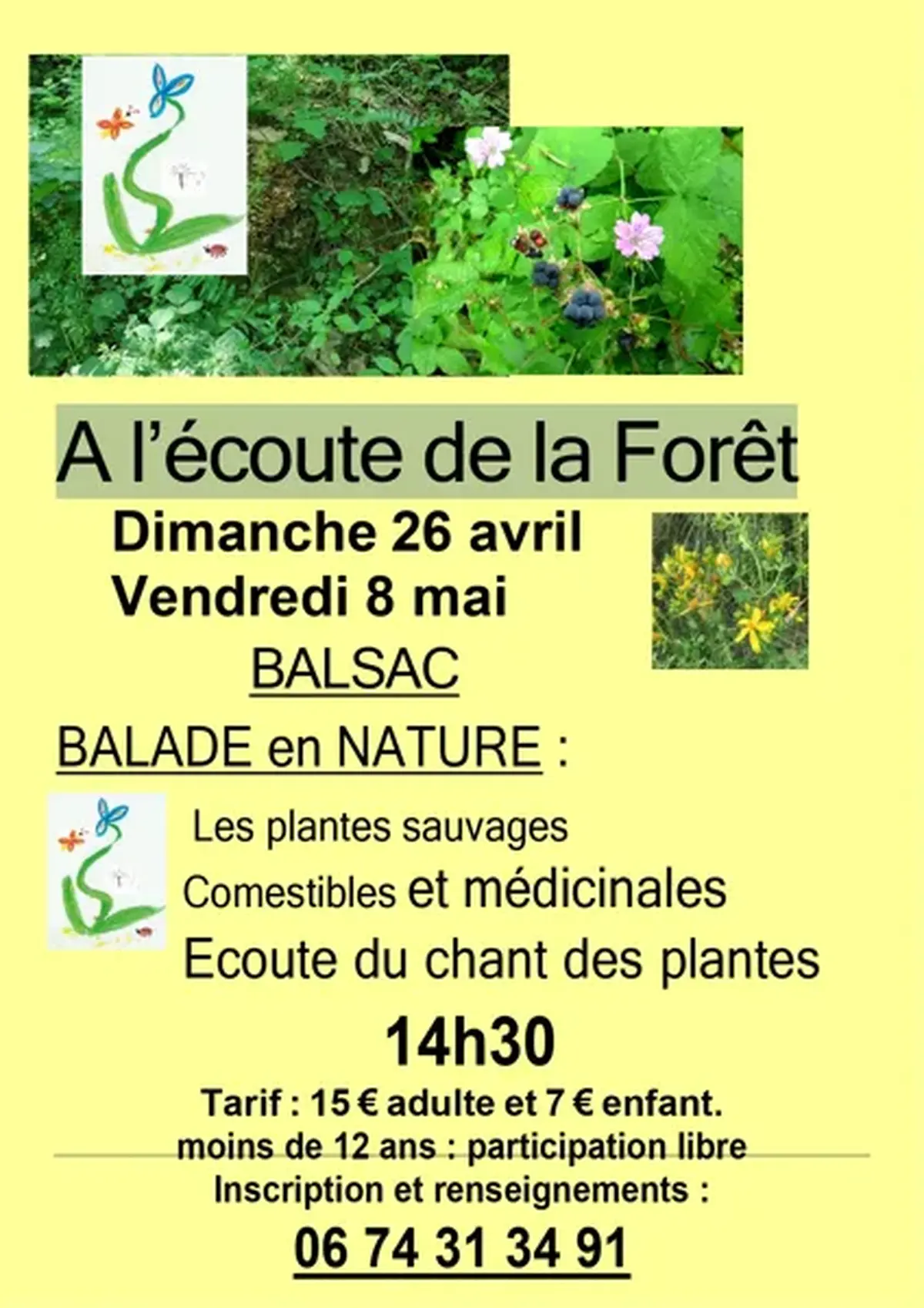 Balade en nature