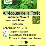 Balade en nature
