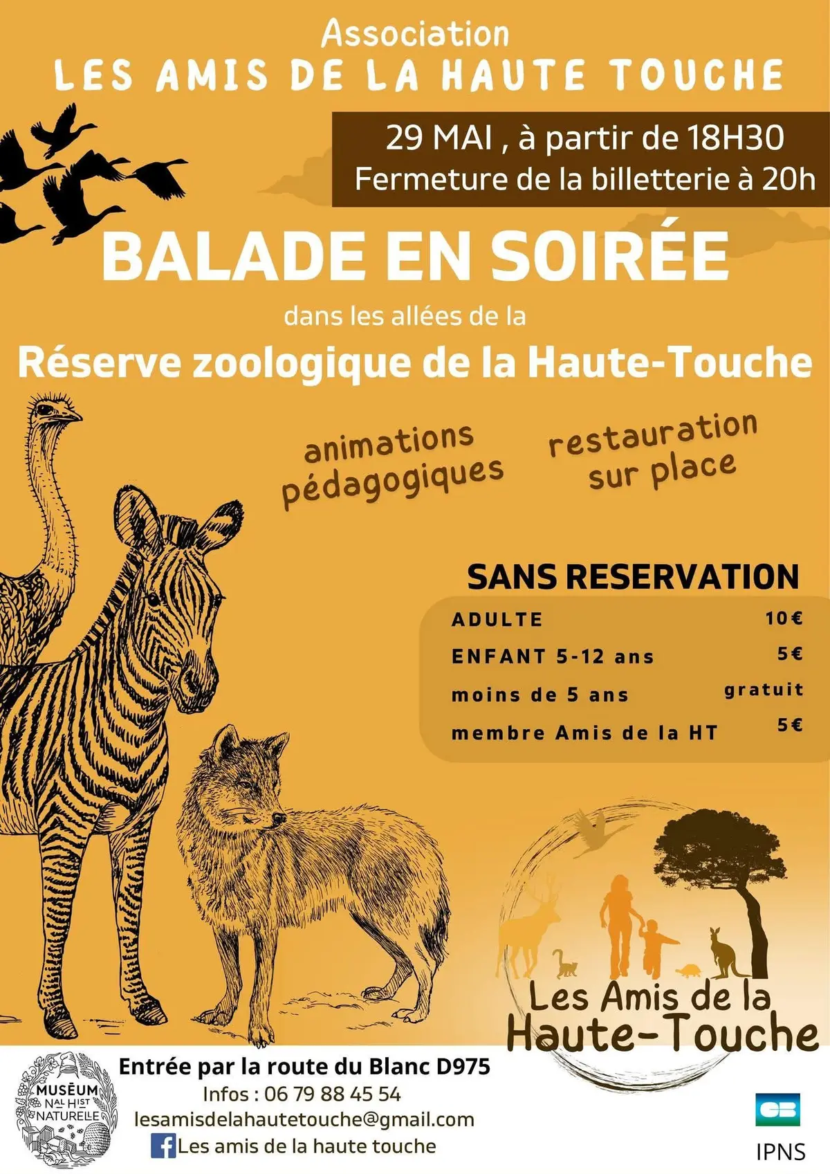 Balade en soirée