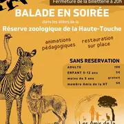 Balade en soirée