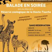 Balade en soirée à la Haute-Touche
