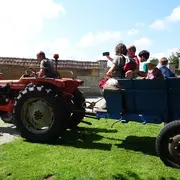 Balade en tracteur vintage - Ferme-musée du Cotentin