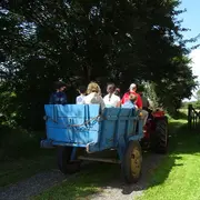 Balade en tracteur vintage - Ferme-musée du Cotentin