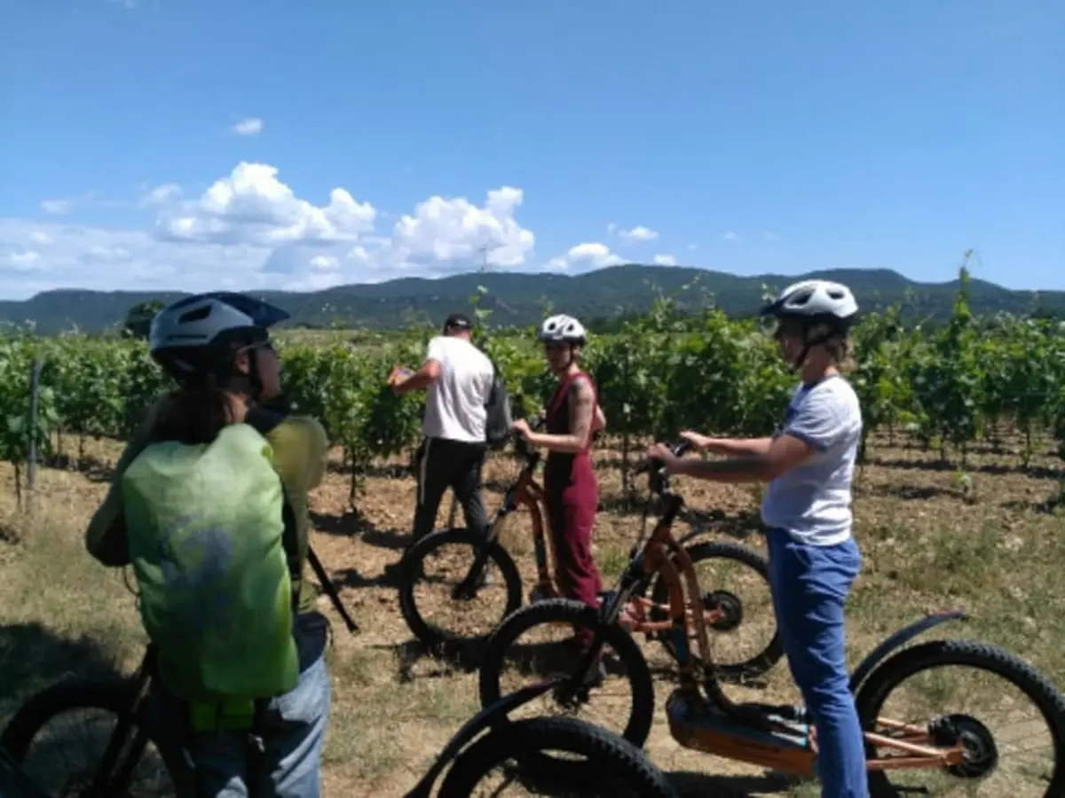 Balade en trottinette des vignes du domaine de la Selve (07)