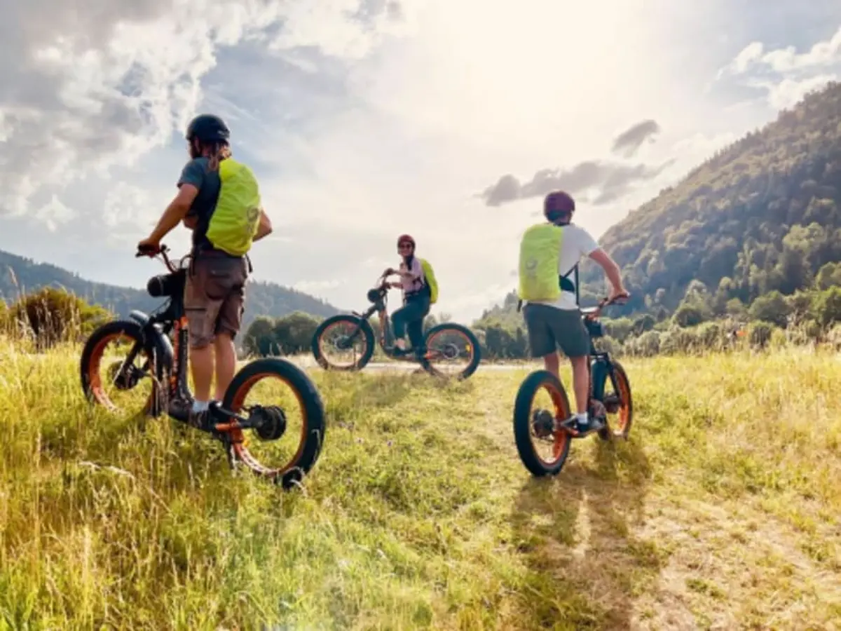 Balade en trottinette électrique tout terrain à La Bresse (88)