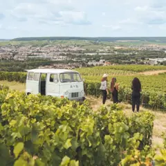 Balade en van vintage avec dégustation en Champagne (51)