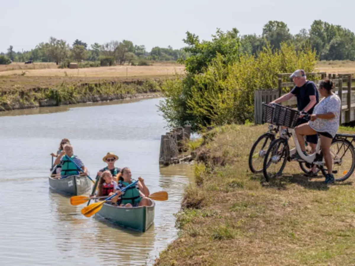 Balade en vélo à Sallertaine (85)
