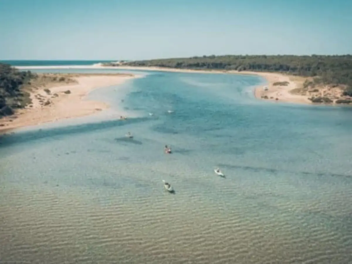 Balade encadrée en kayak Sur la route de l'or blanc (85)