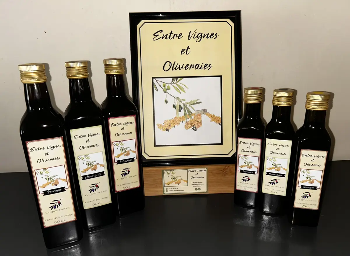 Balade Entre Vignes Et Oliveraies