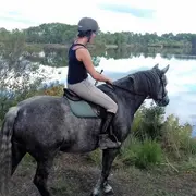 Balade équestre en forêt