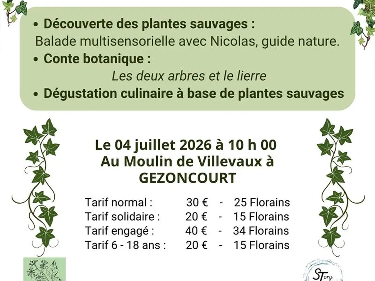 Balade et Conte Botanique en Petite Suisse Lorraine
