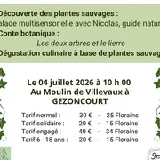 Balade et Conte Botanique en Petite Suisse Lorraine