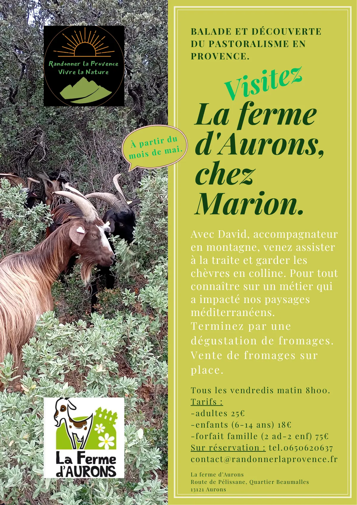 Balade et découverte du pastoralisme en Provence