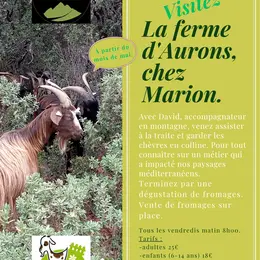 Balade et découverte du pastoralisme en Provence