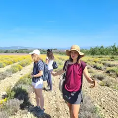 Balade et découverte du pays des lavandes à Valensole (04)