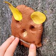 Balade et découvertes nature avec les enfants au Parc Montsouris