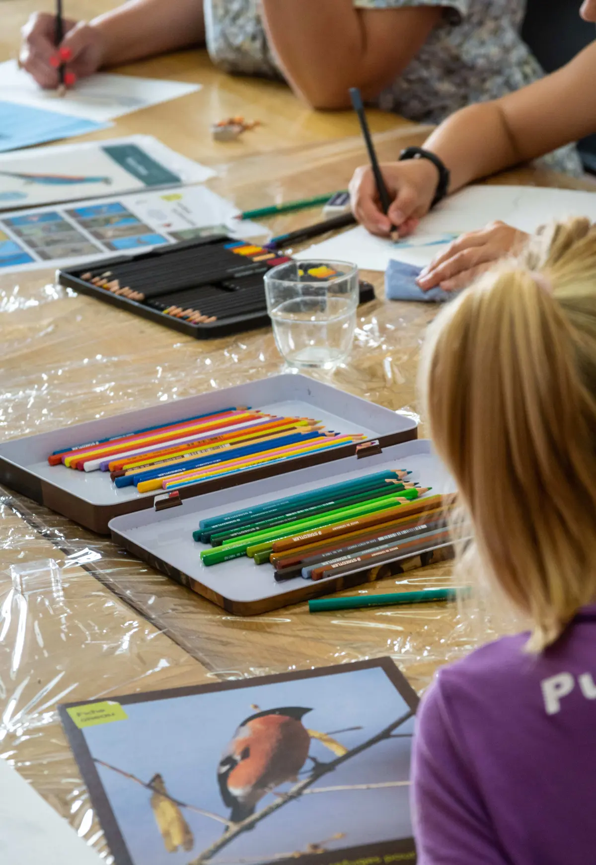 Balade et dessin :  Entre nature et patrimoine