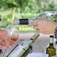 Balade et jeu de piste au cœur des vignes à La Celle (83)