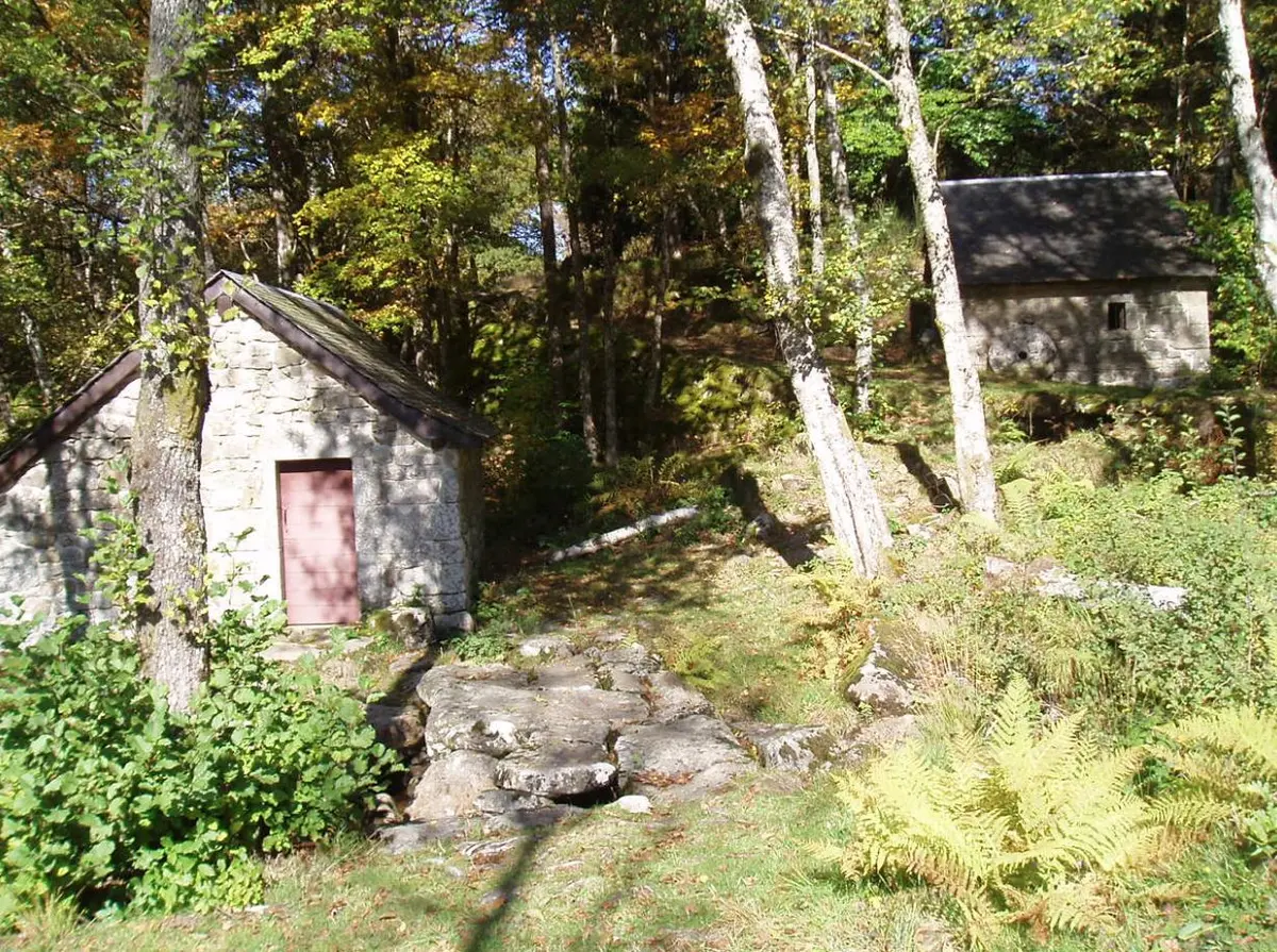 Balade et repas d'Automne