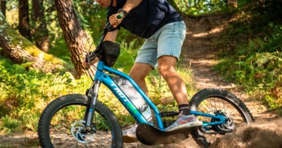 Sorties : que faire &agrave; Bayonne ce week-end ? (6-8 mars 2026)