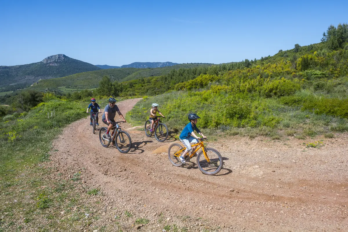 Balade Familiale à Vélo